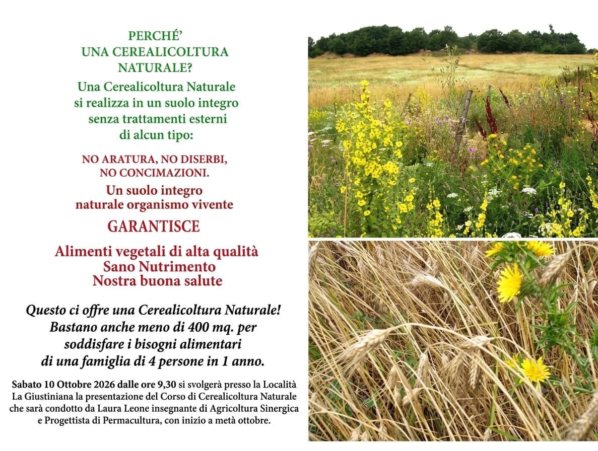 Evento Ottobre